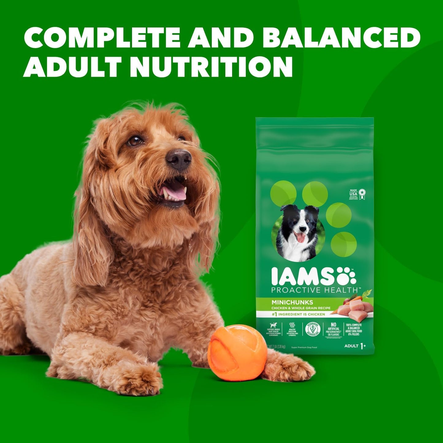 IAMS Proactive Health Minichunks Adult Dry Dog Food with Real Chicken & Whole Grains – 50 lb. Bag (Available at Cure Venta)