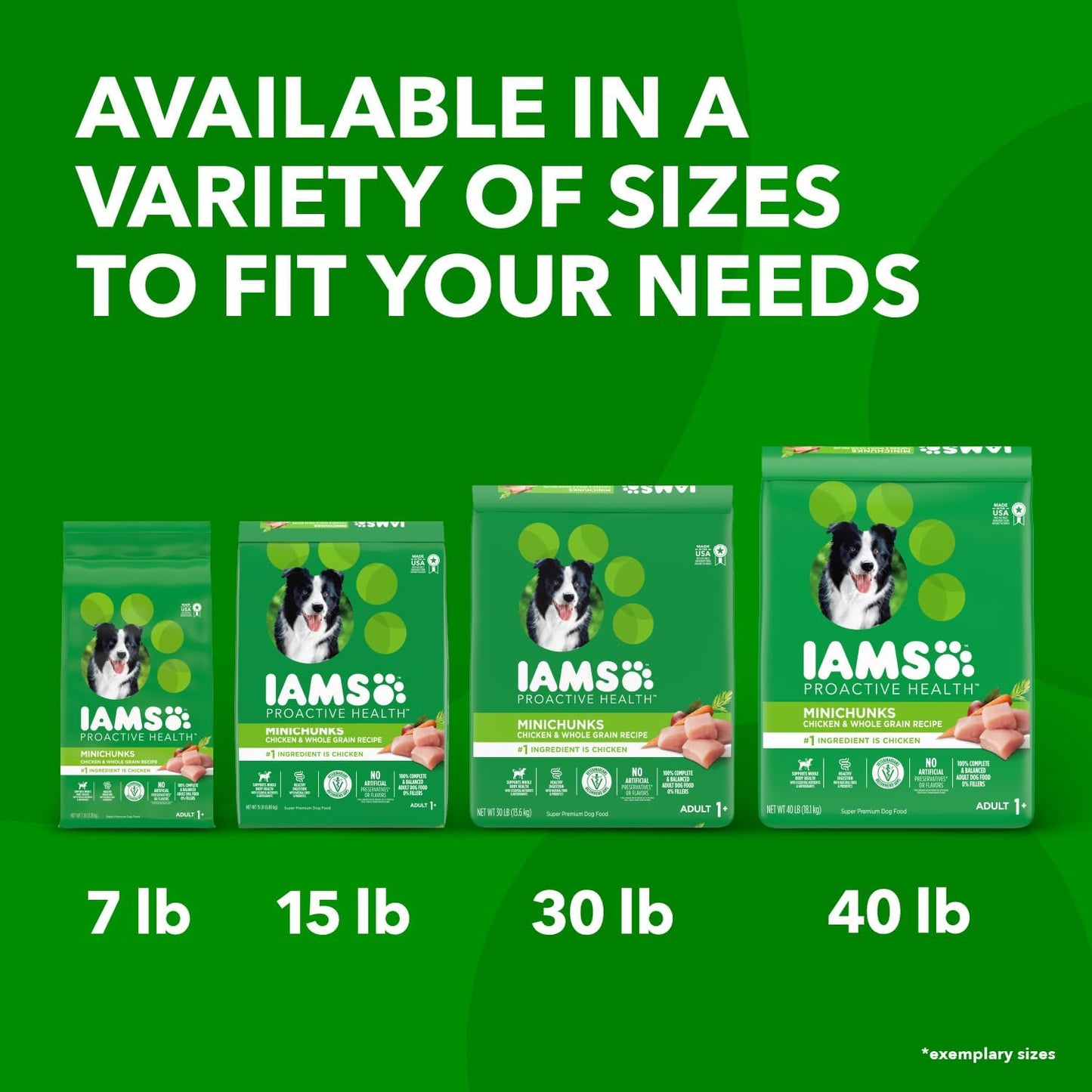 IAMS Proactive Health Minichunks Adult Dry Dog Food with Real Chicken & Whole Grains – 50 lb. Bag (Available at Cure Venta)