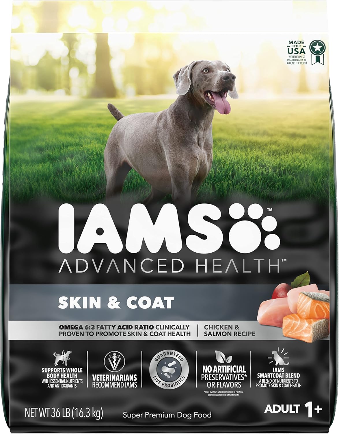IAMS Advanced Health Skin & Coat Chicken & Salmon Recipe Adult Dry Dog Food – 36 lb. Bag (Available at Cure Venta)