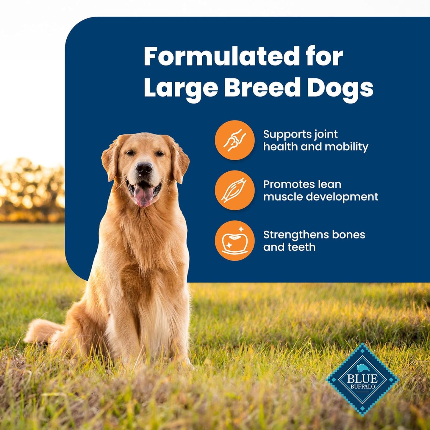 Blue Buffalo Life Protection Formula Large Breed Adult Dry Dog Food – 34 lb. Bag (Chicken & Brown Rice Recipe) (Available at Cure Venta)