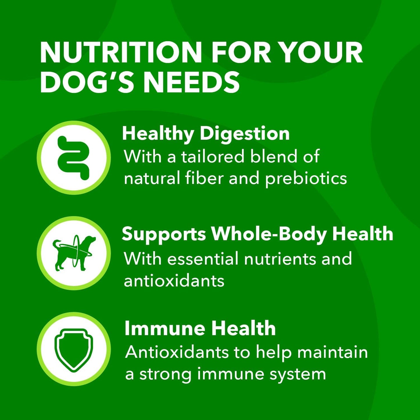 IAMS Proactive Health Minichunks Adult Dry Dog Food with Real Chicken & Whole Grains – 50 lb. Bag (Available at Cure Venta)
