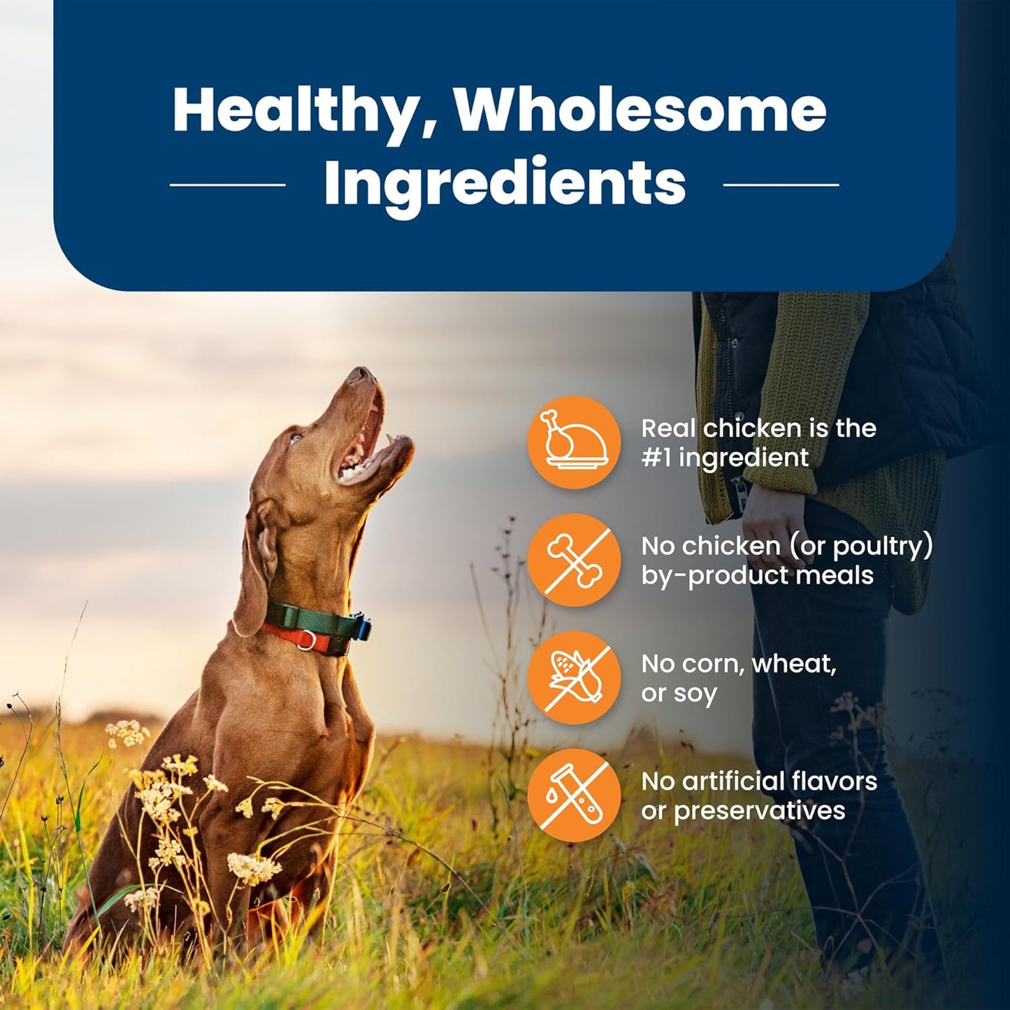 Blue Buffalo Life Protection Formula Large Breed Adult Dry Dog Food – 34 lb. Bag (Chicken & Brown Rice Recipe) (Available at Cure Venta)