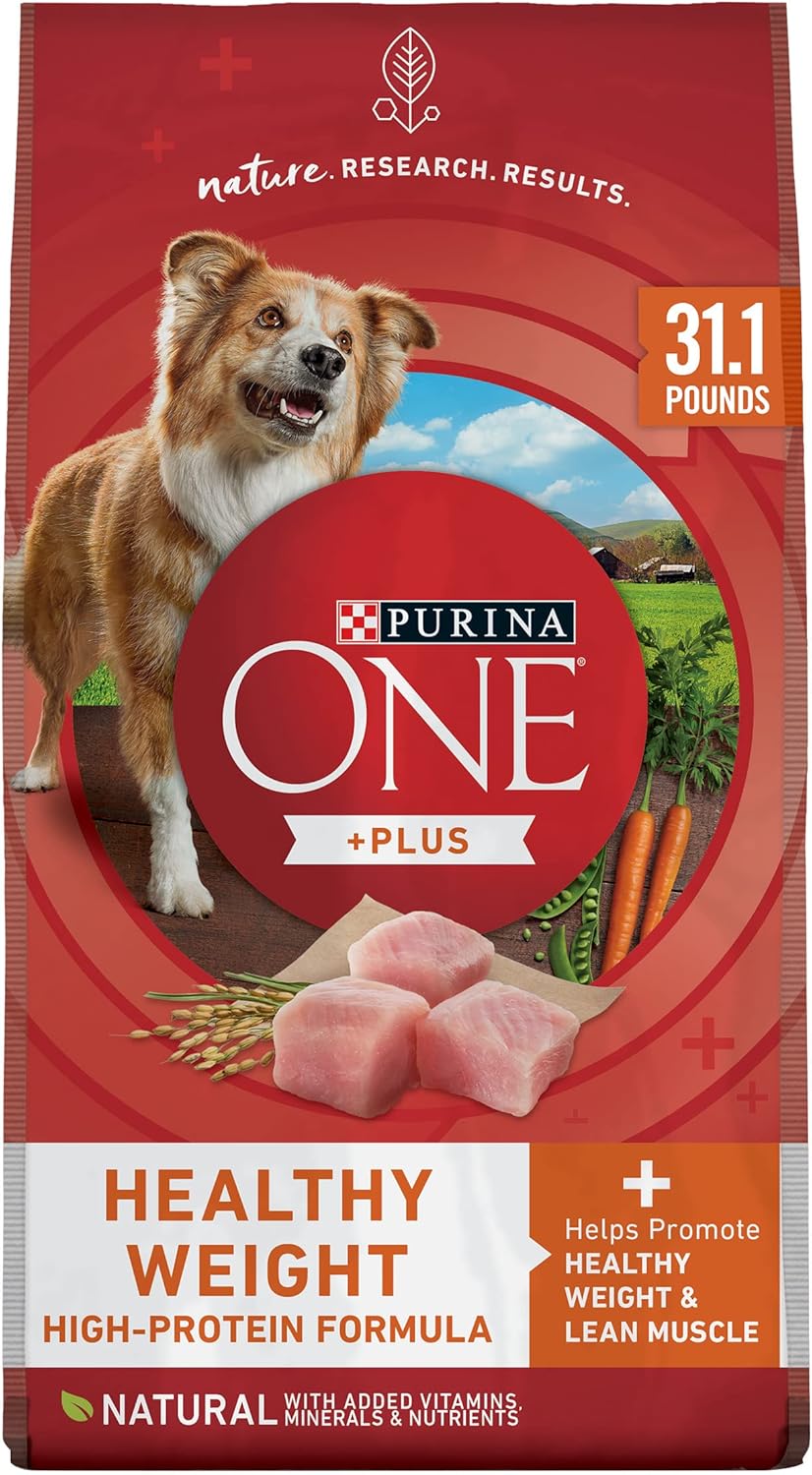 Purina ONE Plus Healthy Weight High-Protein Dry Dog Food – 31.1 lb. Bag (Available at Cure Venta)