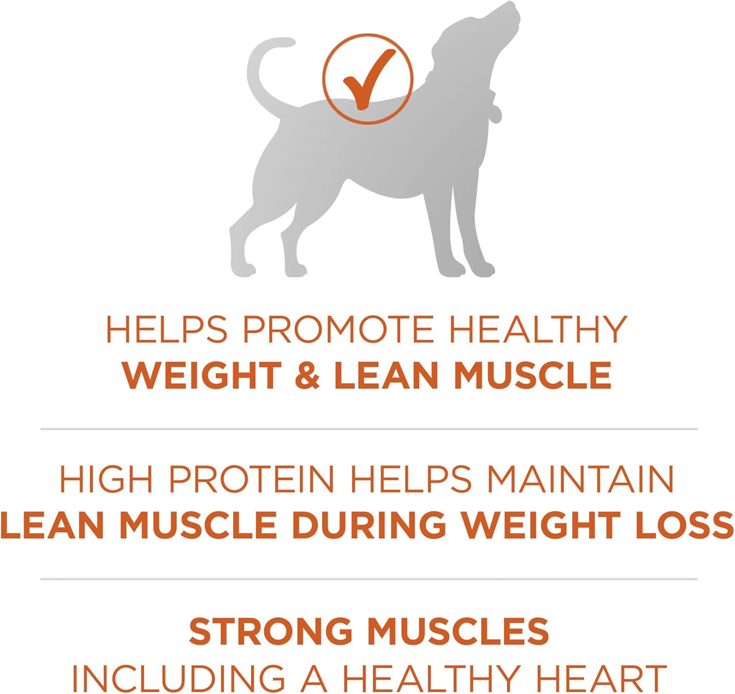 Purina ONE Plus Healthy Weight High-Protein Dry Dog Food – 31.1 lb. Bag (Available at Cure Venta)