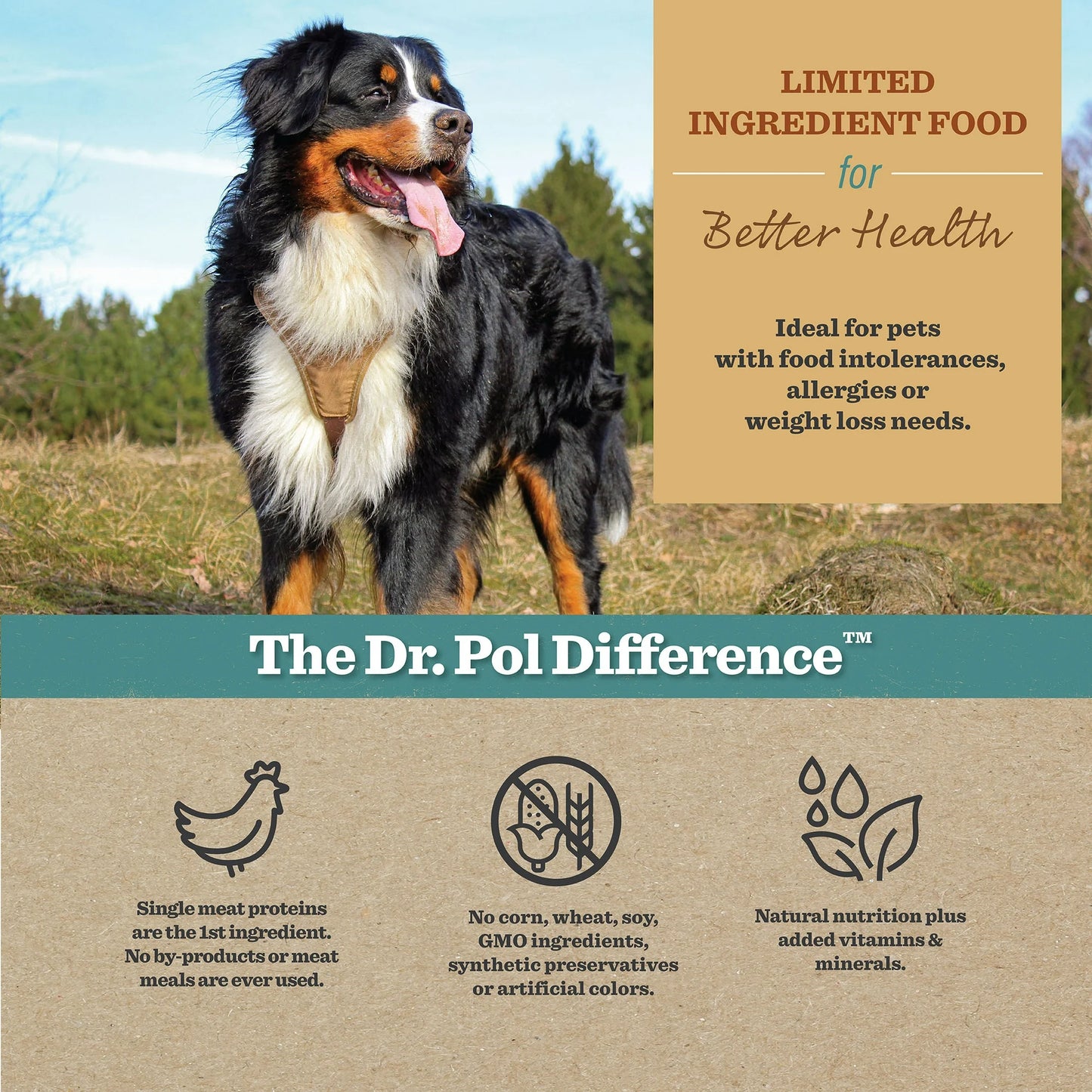 Dr. Pol Healthy Balance Limited Ingredient Chicken Recipe Adult Dog Food 24 lb. Bag – Available at Cure Venta