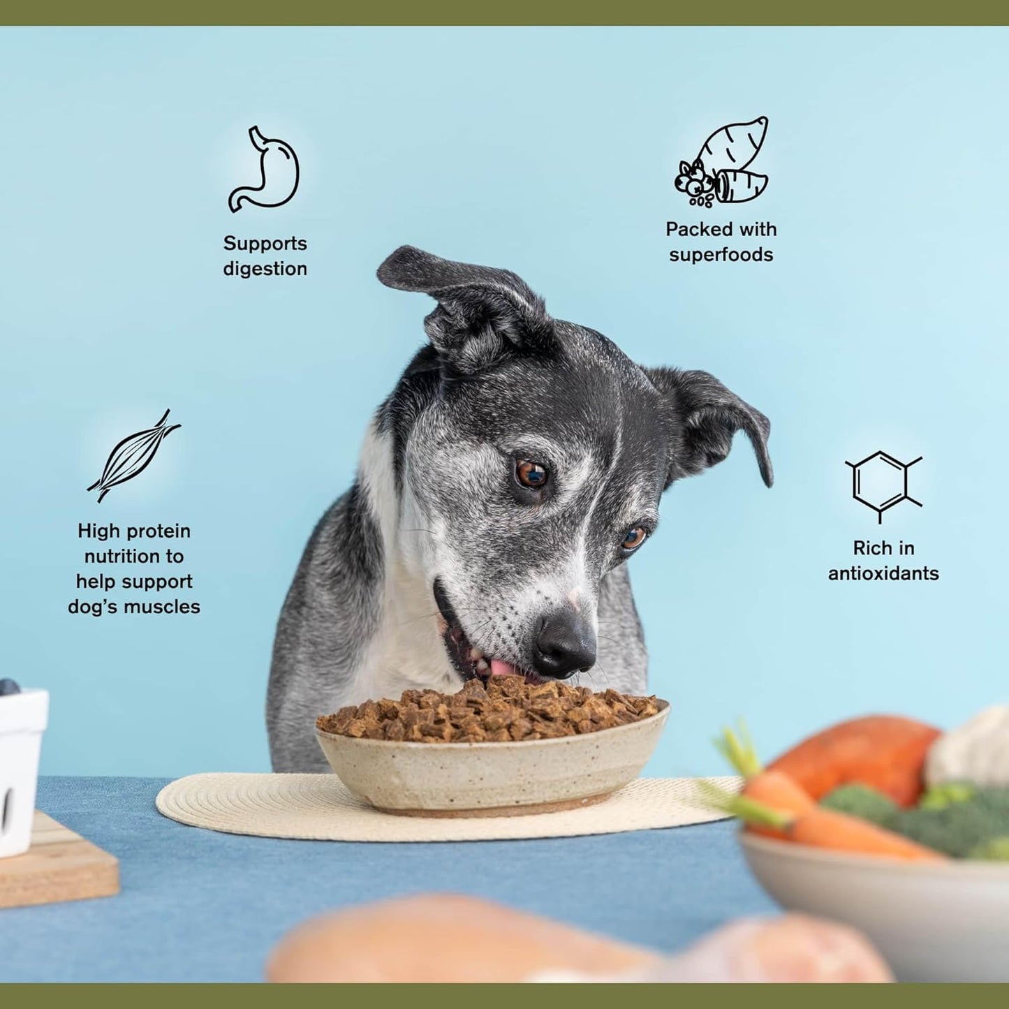 Superfood Complete Air-Dried Adult Dog Food – 64 oz. (Premium Chicken) by Katherine Heigl (Available at Cure Venta)