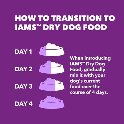 IAMS Advanced Health Skin &amp; Coat Chicken &amp; Salmon Recipe Adult Dry Dog Food – 36 lb. Bag (Available at Cure Venta)